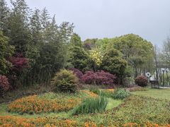 -上海浦江郊野公园-5号停车场