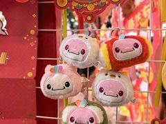 -越秀西湖花市(广州城市广场花卉店)