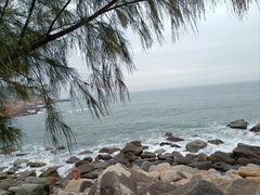 -广东惠东海龟国家级自然保护区