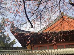 -天台山赤城山景区