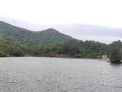 -大姆山草场