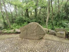 -上海佘山国家森林公园天马山园