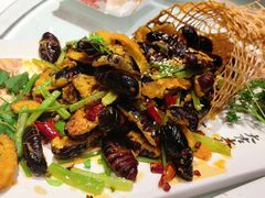 -东北大院·东北菜(三台子店)
