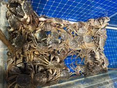 -深海聚汇·牛榴宴·自助料理(江宁万达店)