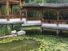 -南普公园