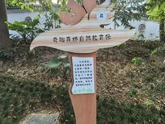 -火炉山森林公园