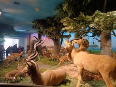 -国家自然博物馆