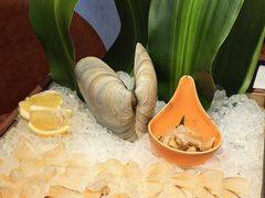 -Mr.Fish鱼鲜生海鲜放题(高德置地冬广场店)