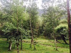 -互助北山国家地质公园漂流