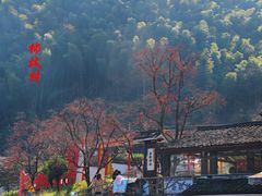 -丹山赤水风景名胜区