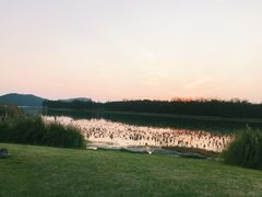 -东湖落雁景区