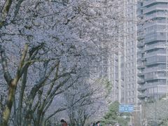 -西北湖绿化广场