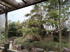 -上海鲜花港