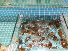 -蓝珊海鲜澳洲和牛自助餐厅