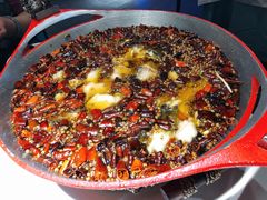 -雲蜀龙阁·金牌水煮鱼(方庄店)