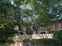 -青岛崂山太清宫