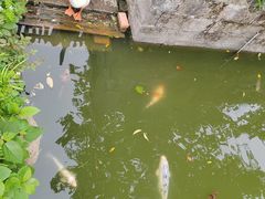 -苏州碑刻博物馆