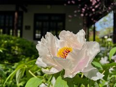 -狼山风景名胜区