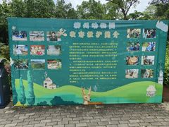 -柳州市动物园