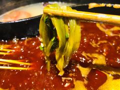 -钢管厂五区小郡肝火锅串串香(总店)