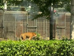 -秦皇岛野生动物园