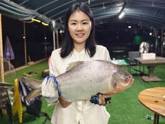 -会江钓鱼钓虾烧烤场