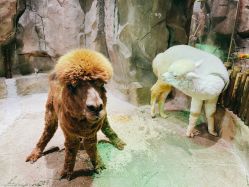 -宝燕乐园(闵行旗舰店)