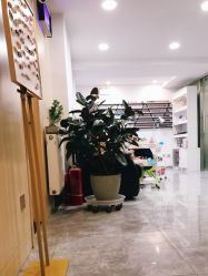-AFA Hair studio·女士发型设计