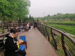 -石榴庄公园