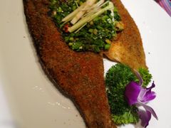 傣家香茅草烤鲈鱼-香巴拉云南餐厅(华莱坞店)