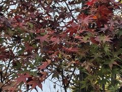-木塔寺遗址生态公园
