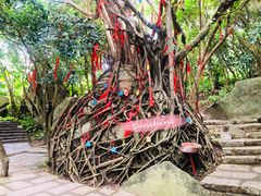 景点-三亚蜈支洲岛旅游区