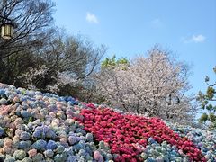 -苏州上方山国家森林公园