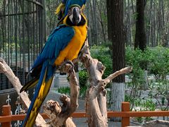 -北京野生动物园