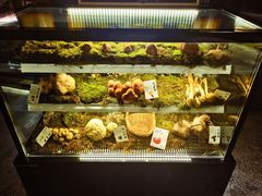 -滇野云南野生菌餐厅(陕西南路店)