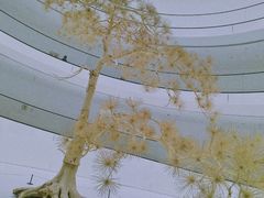 -上海宝龙美术馆