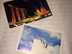 -DFS旗下T广场(新加坡店)