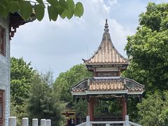 -顺峰山公园
