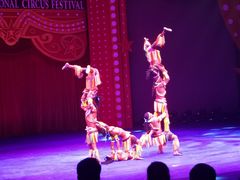 -珠海横琴长隆《卡卡虎奇遇记》