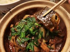 啫啫甲鱼煲-金龙·打边炉(武进路店)