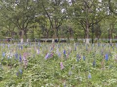 -世纪公园-1号门停车场