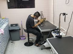 -FAELING PETS美天灵宠物(富力广场店)