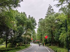 -西溪国家湿地公园