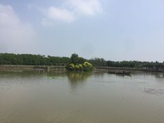 -大湾区中央湿地公园