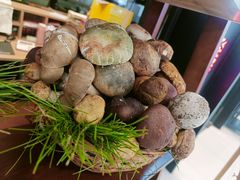 -滇铺子·云南特色菜·鲜花野菜季(曲靖万达店)