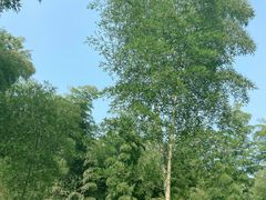 -小格里自然风景区