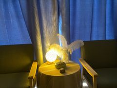 -芳朴养生按摩spa·男士