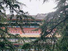 -北京艺术博物馆(万寿寺)