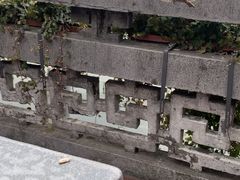 -湖畔居茶楼(湖滨店)