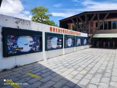 -广东惠东海龟国家级自然保护区